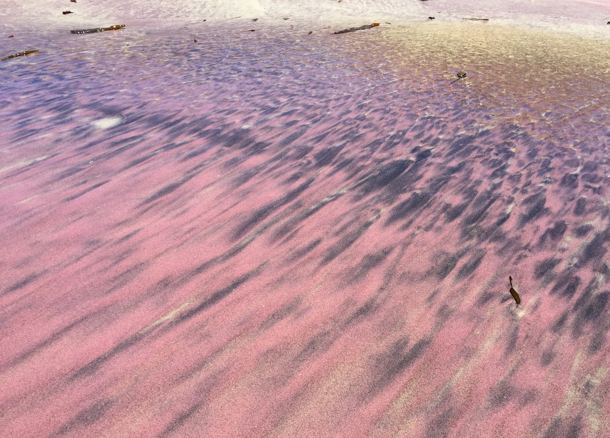 Purple garnet sand swirled through tan sand on Pfeiffer Beach in Big Sur