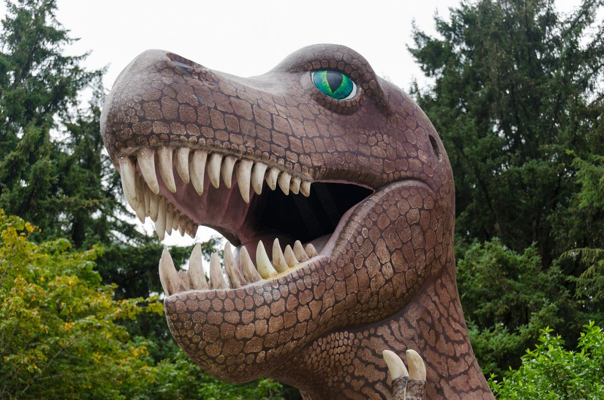 Tyrannosaurus sculpture with open jaws among the trees at Prehistoric Gardens on US-101