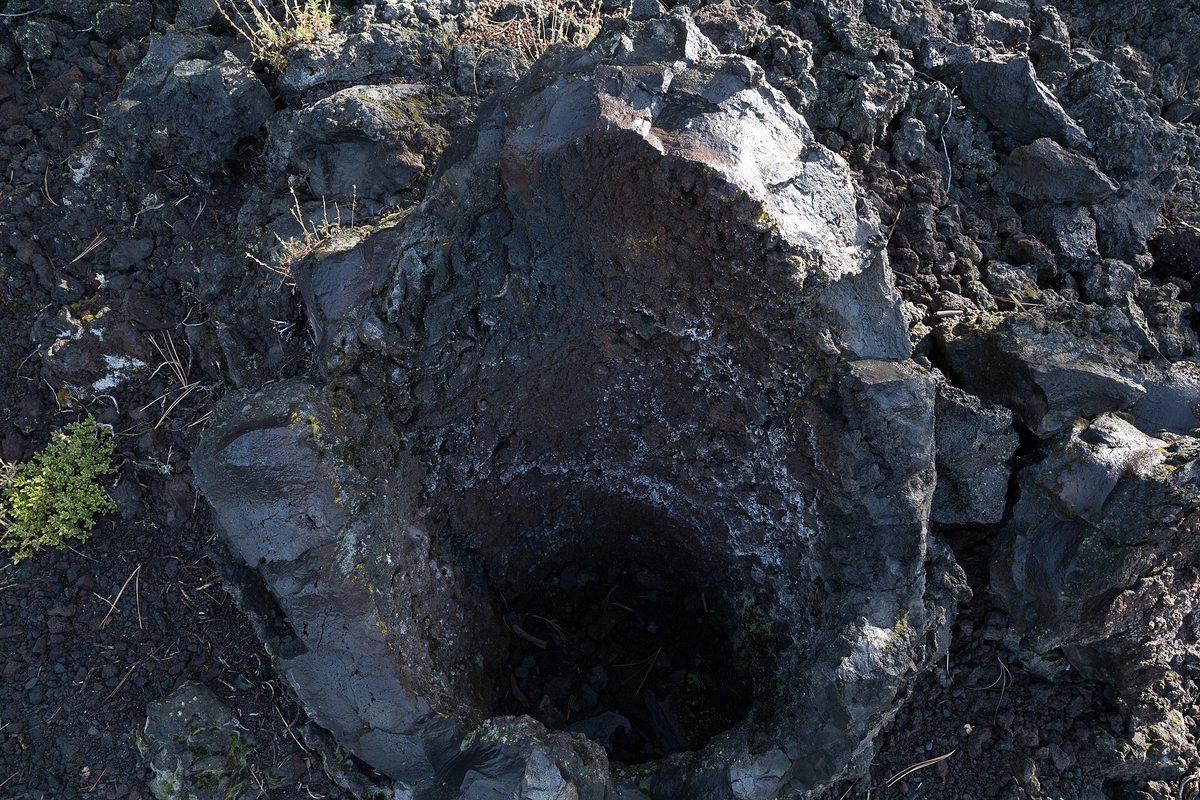 A round hollow tree mold in dark lava rock on the Lava Cast Forest Trail