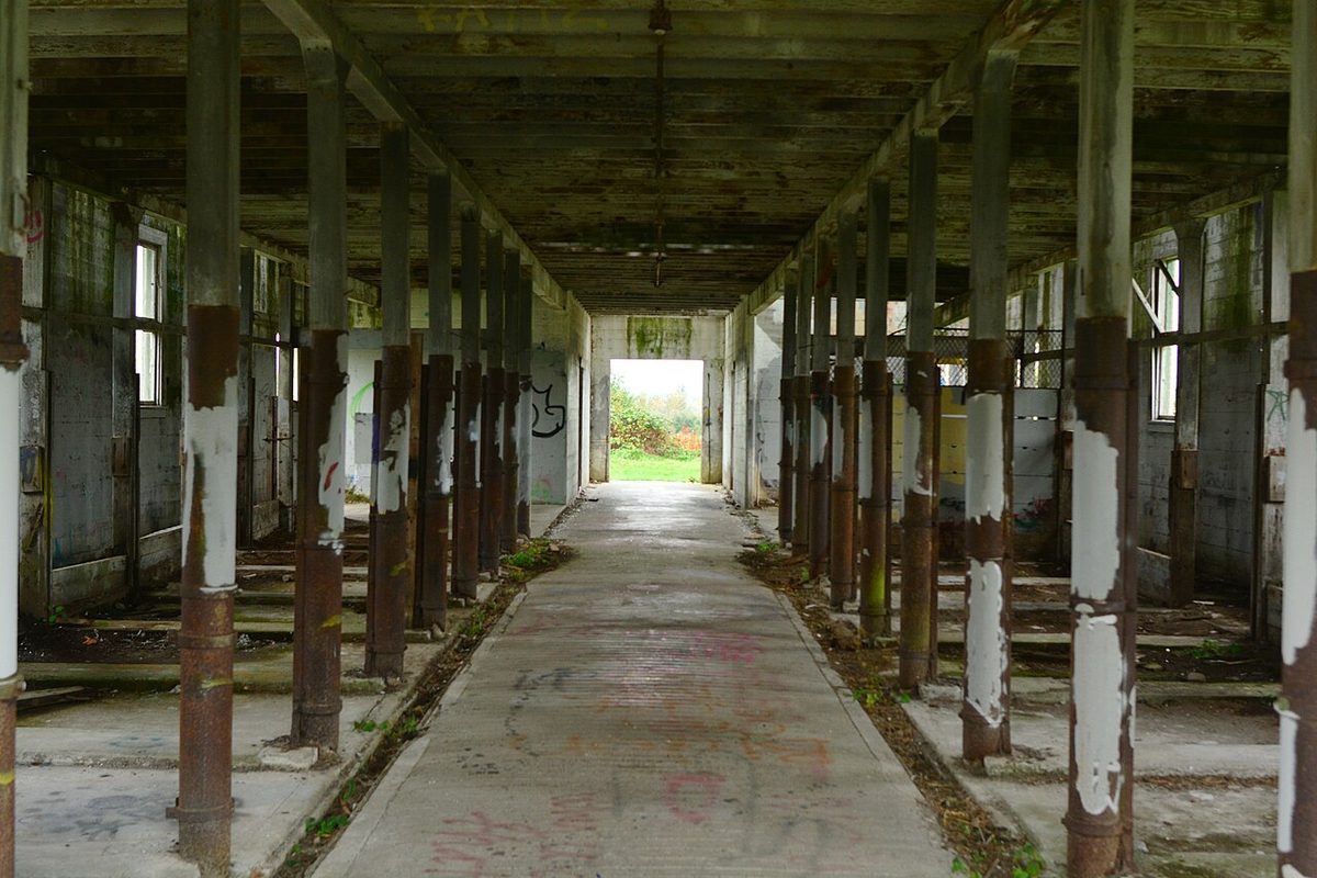 A long, open-sided wooden dairy barn with rows of posts and stalls leading toward daylight