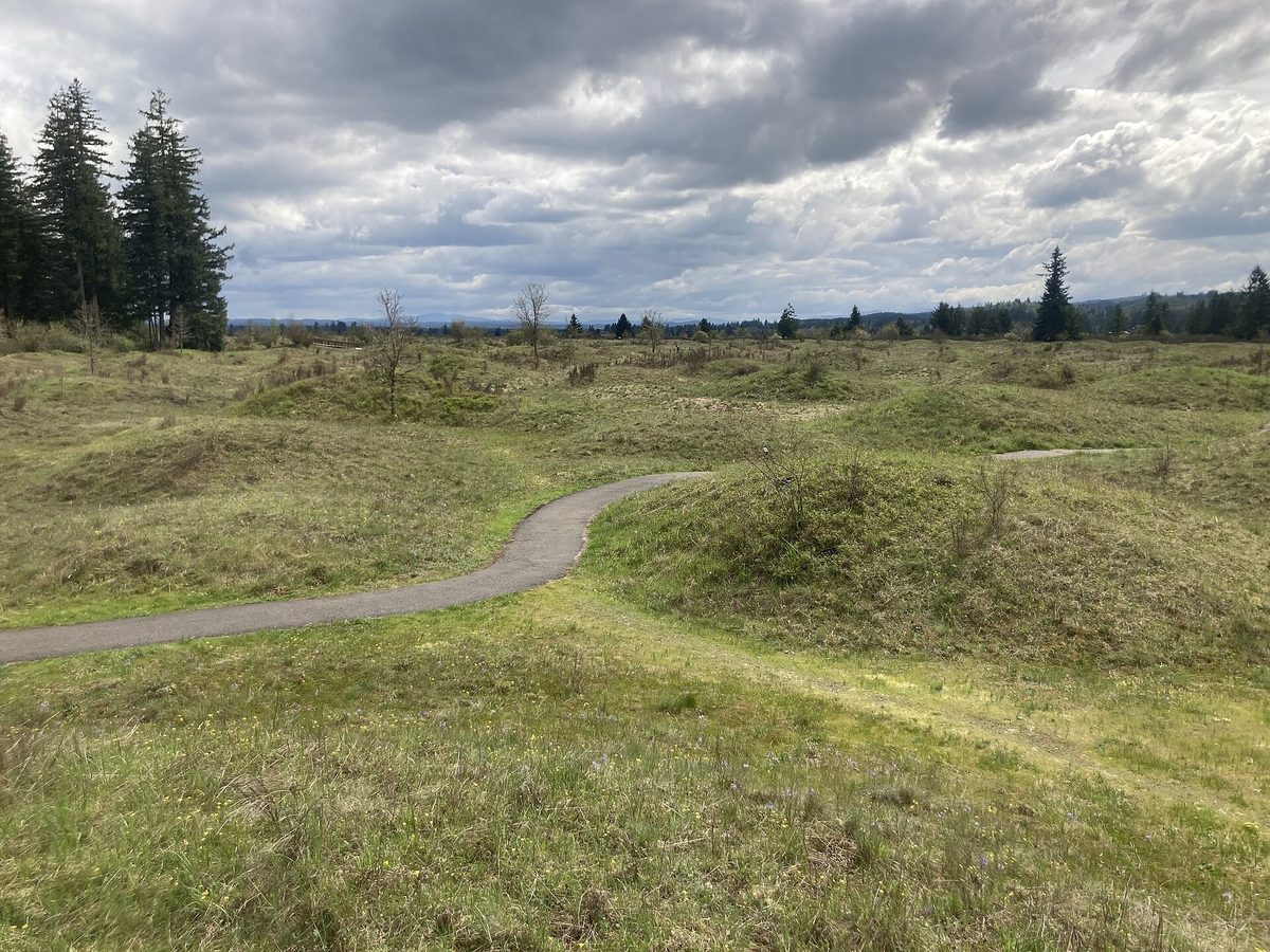 A gravel path curving between low, grass-covered mounds at Mima Mounds Natural Area Preserve, with dark fir forest behind